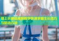 墙上长蘑菇视频教学快速掌握生长技巧与防治方法