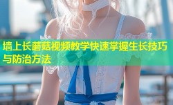 墙上长蘑菇视频教学快速掌握生长技巧与防治方法