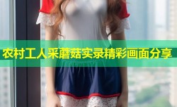 农村工人采蘑菇实录精彩画面分享