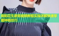 南阳花生蘑菇视频教程实操详解快速掌握种植技巧
