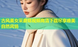 古风美女采蘑菇视频高清下载尽享唯美自然风情