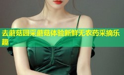 去蘑菇园采蘑菇体验新鲜无农药采摘乐趣