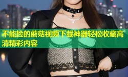 不能捡的蘑菇视频下载神器轻松收藏高清精彩内容