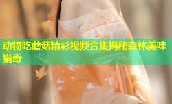动物吃蘑菇精彩视频合集揭秘森林美味猎奇