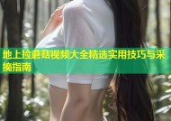 地上捡蘑菇视频大全精选实用技巧与采摘指南