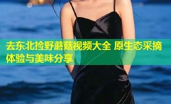 去东北捡野蘑菇视频大全 原生态采摘体验与美味分享