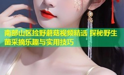 南部山区捡野蘑菇视频精选 探秘野生菌采摘乐趣与实用技巧