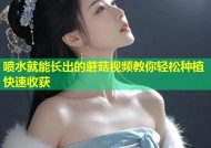 喷水就能长出的蘑菇视频教你轻松种植快速收获