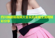 四川摘蘑菇视频大全实拍采摘全流程精彩分享