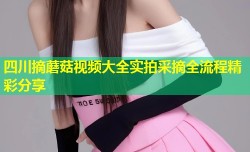 四川摘蘑菇视频大全实拍采摘全流程精彩分享