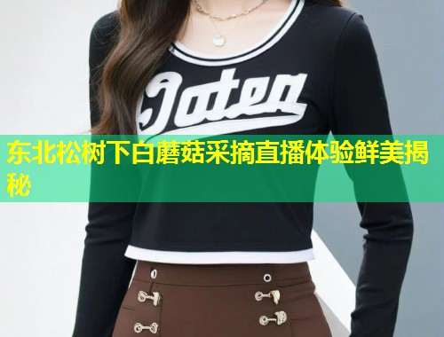 东北松树下白蘑菇采摘直播体验鲜美揭秘  第1张