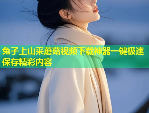 兔子上山采蘑菇视频下载神器一键极速保存精彩内容  第1张