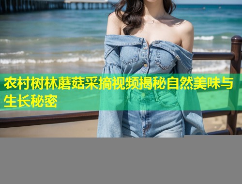 农村树林蘑菇采摘视频揭秘自然美味与生长秘密  第1张