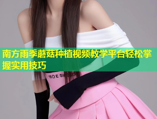 南方雨季蘑菇种植视频教学平台轻松掌握实用技巧  第1张