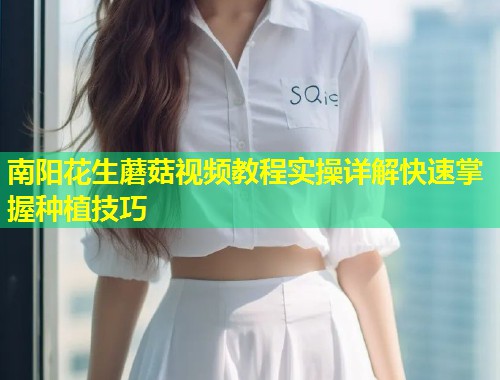 南阳花生蘑菇视频教程实操详解快速掌握种植技巧  第2张