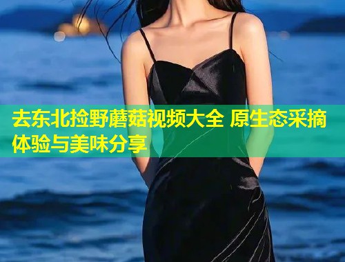去东北捡野蘑菇视频大全 原生态采摘体验与美味分享  第1张