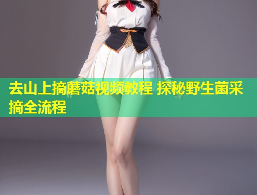 去山上摘蘑菇视频教程 探秘野生菌采摘全流程  第1张