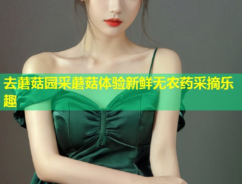 去蘑菇园采蘑菇体验新鲜无农药采摘乐趣  第1张