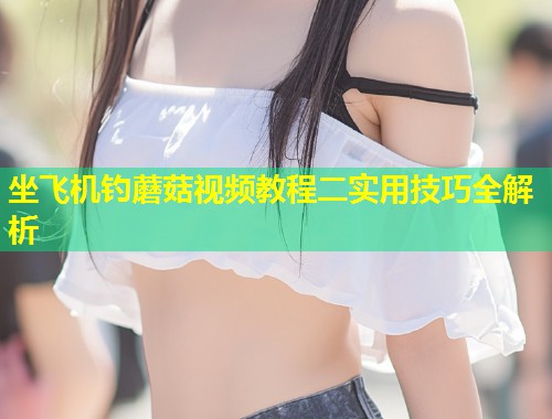 坐飞机钓蘑菇视频教程二实用技巧全解析  第1张