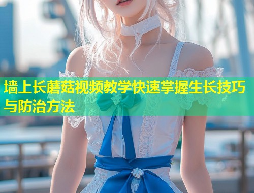 墙上长蘑菇视频教学快速掌握生长技巧与防治方法  第1张